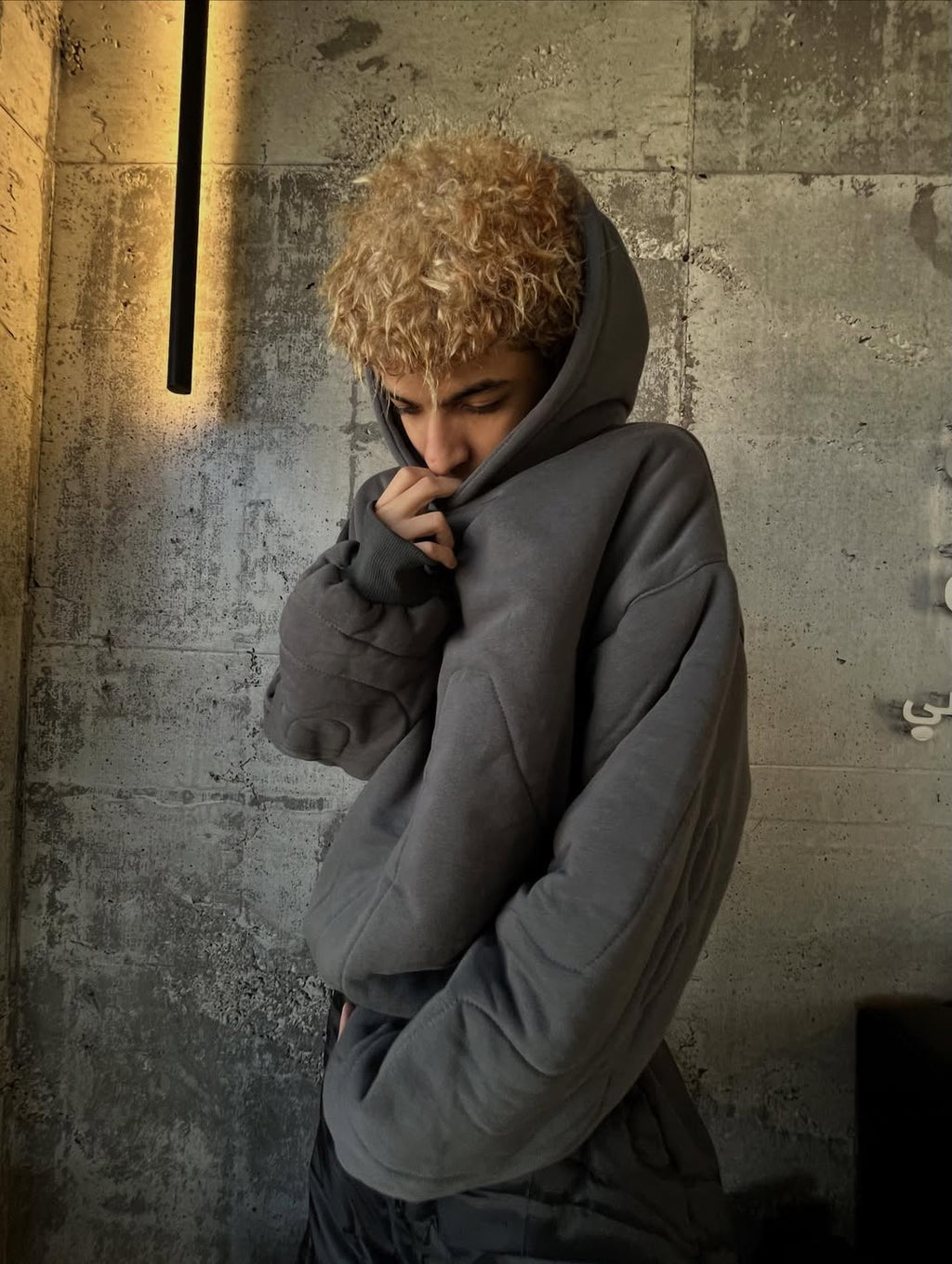 EMULAOR GRAY HOODIE x1