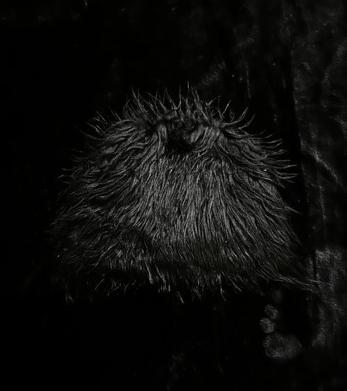 Ice cap fur
